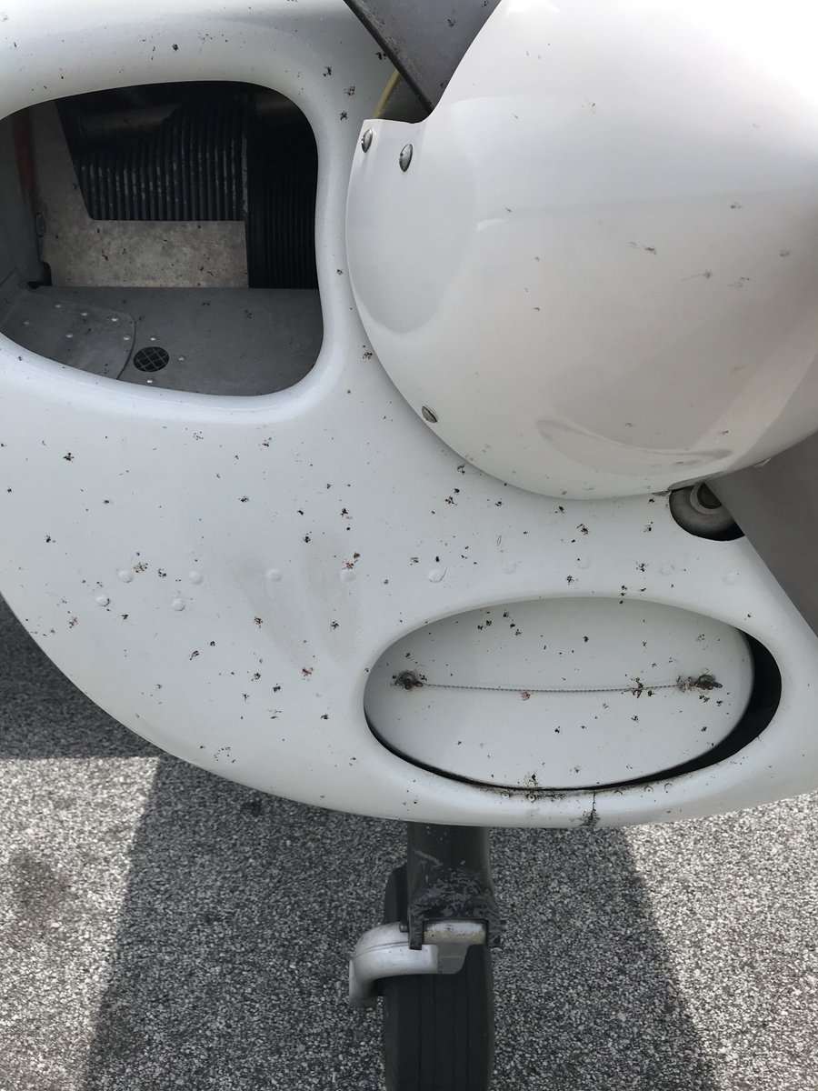 FlyingandLife's tweet photo. Sometimes your the bug, sometimes your the airplane.  This is after 10.5 hours of flying this weekend #bugsmasher #avgeek https://t.co/yKYI29hLij