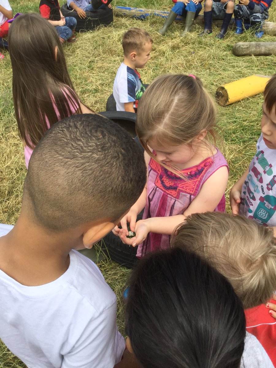 OLadybirds's tweet photo. Fabulous fun in the forest for #oaktreeoutdoorclassroomday we found lots of flowers, buds, berries and bugs! @WoodlandTrust https://t.co/Dp2SrwkGcx
