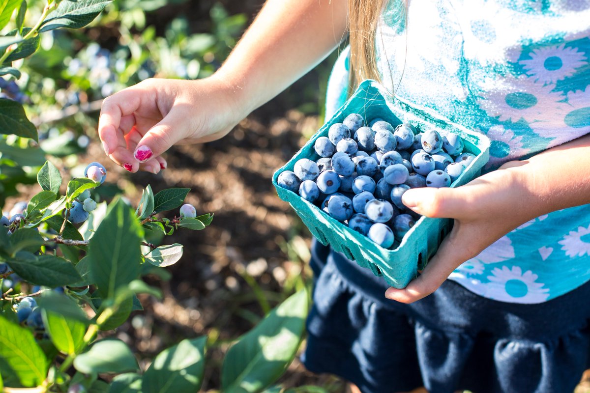 Cape Cod Magazine tweet media