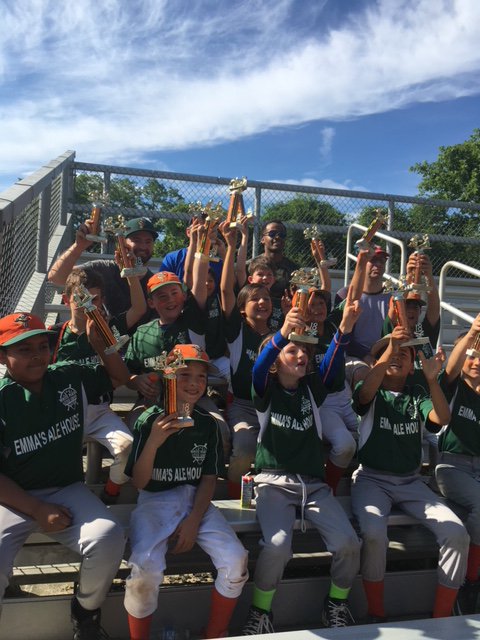 Team Emma's wins the White Plains Little League Minors AA 2018 Championship!