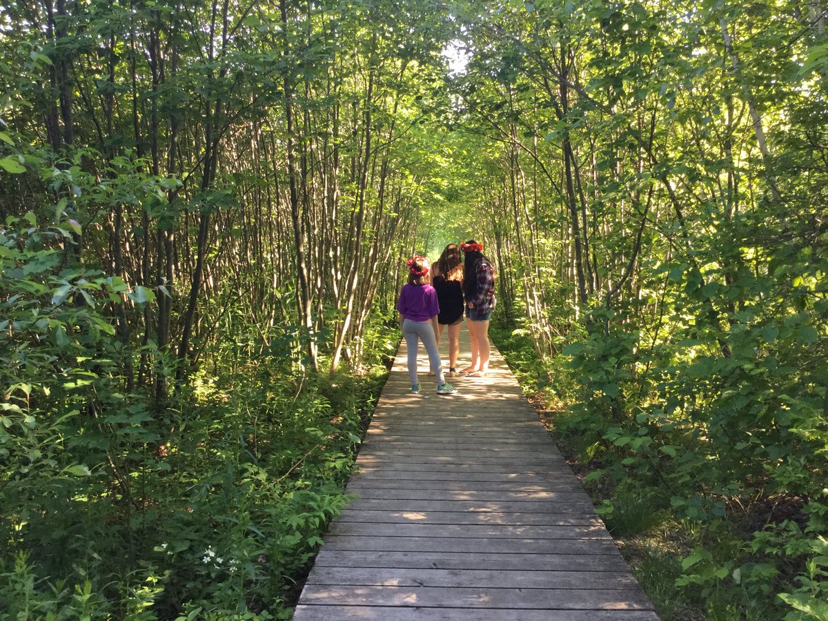 Victoria9161's tweet image. Was taking pictures in the forest because...ya I don’t know here they are