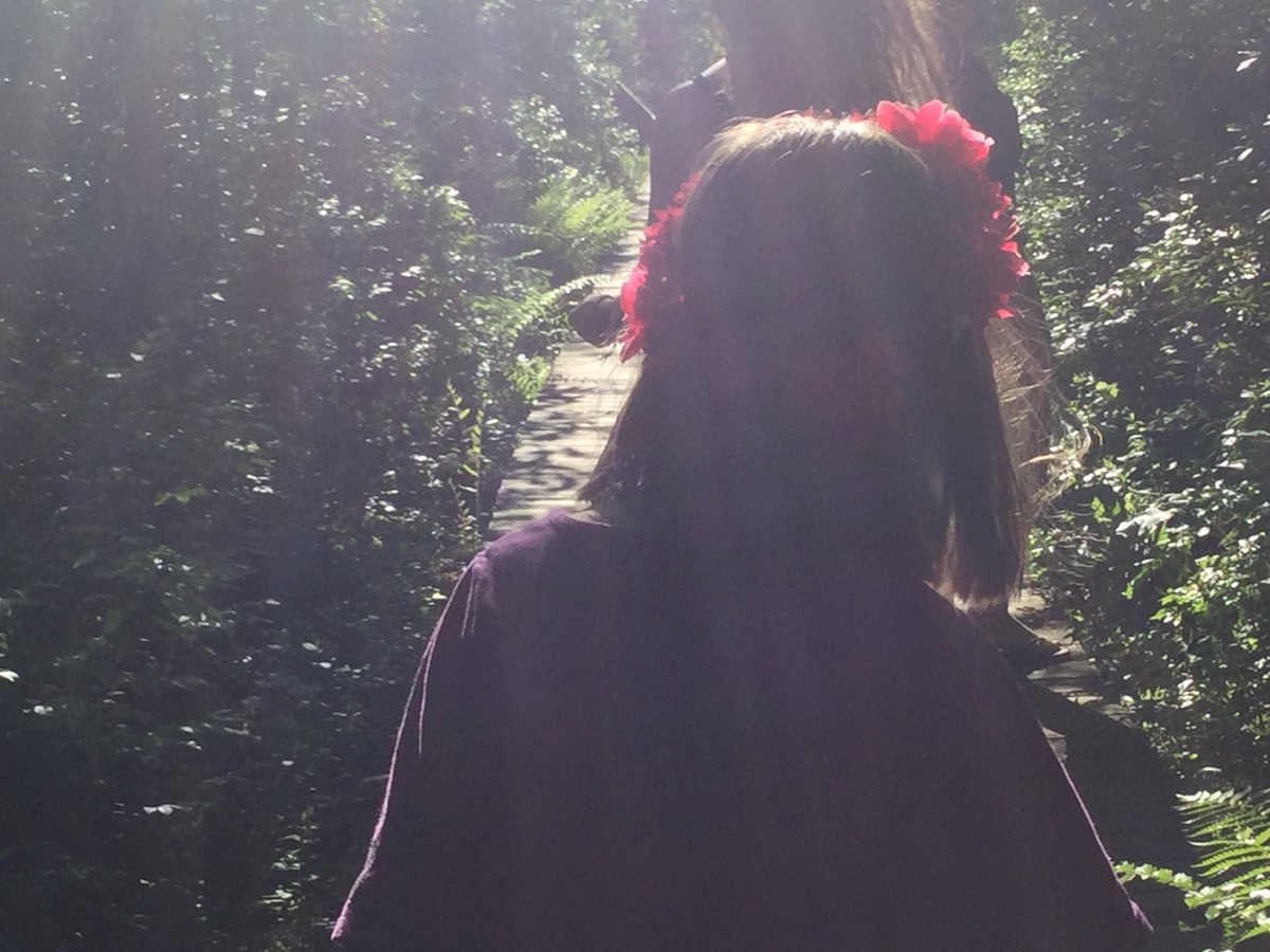 Victoria9161's tweet image. Was taking pictures in the forest because...ya I don’t know here they are