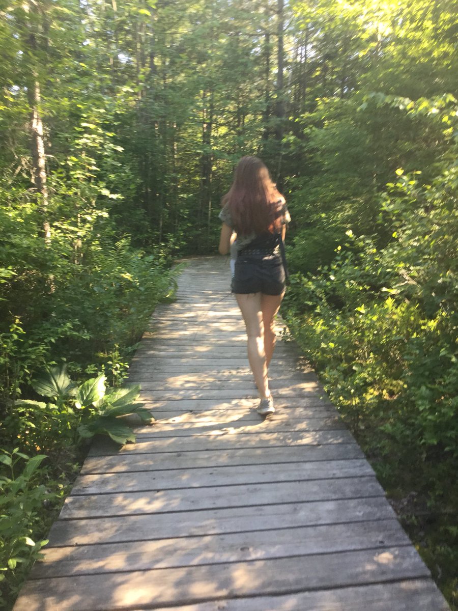 Victoria9161's tweet image. Was taking pictures in the forest because...ya I don’t know here they are