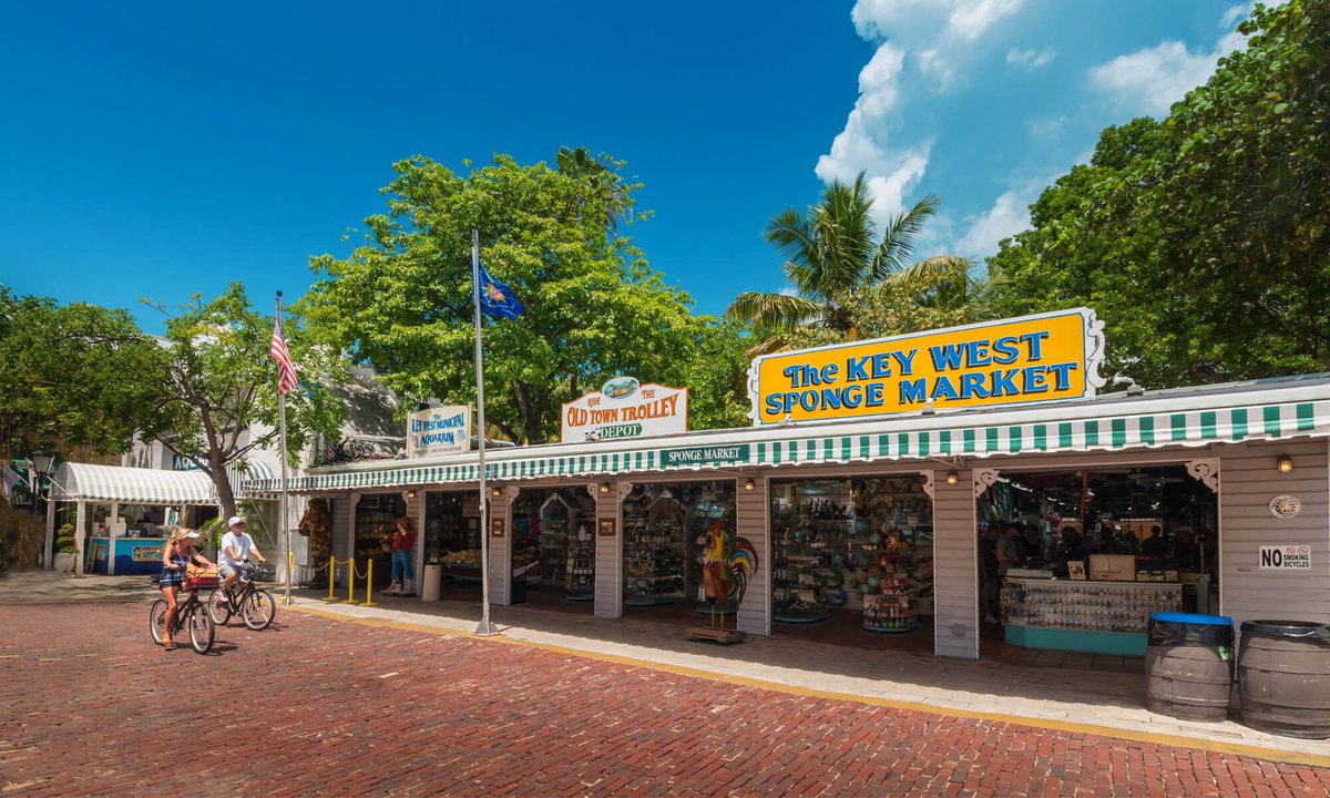 Head down to the Mallory Square area and enjoy the sponge market.. The Aquarium, Shipwreck Museum and Old Town Trolley are all here as well....