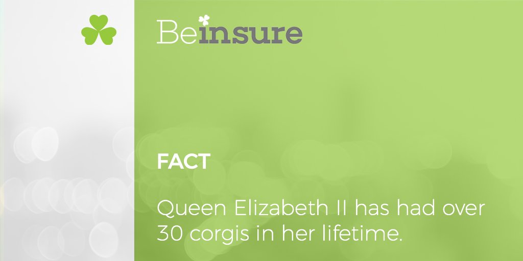 BeInsureTweets's tweet photo. The Queen loves her Corgi's! 🐶 Do any of you have a corgi? #BeInsure #TheQueen #QueenElizabeth #Corgis #Facts #FactoftheDay https://t.co/qVIL4Uykpg