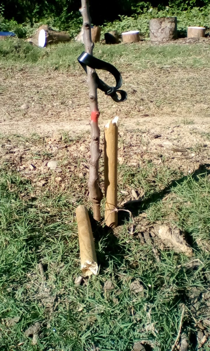 RubidArrel's tweet photo. Rubí d'Arrel denuncia una acció incívica que ha malmès alguns arbres i una taula de pícnic de l'entorn de la @FontCanMoritz 
#Rubicity 
https://t.co/DNXC7iB65g] https://t.co/BrcqeYTSea