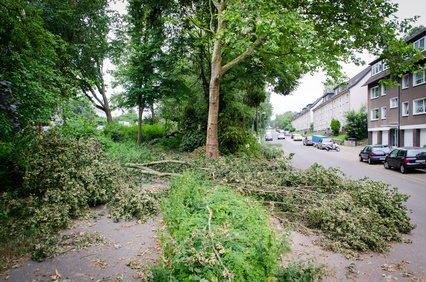 tempestrestor's tweet photo. #ImpactDamage - Our technician will discuss the #restoration schedule to ensure you are aware of what to expect &amp; inform you of the progress https://t.co/gvHq4D08Qc