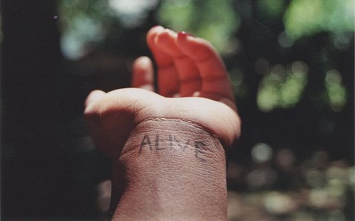 UlisesPalermo's tweet photo. El gran problema de la humanidad es que le teme al éxito.
Sea el tipo que sea.

Las ideas alocadas son las que le dan color a la vida.
Son las que hicieron a las personas que tanto admiras.
No pierdas el tiempo.

#Reflexión #Tiempo #Vida #Color #Éxito https://t.co/TixvMpUQTH