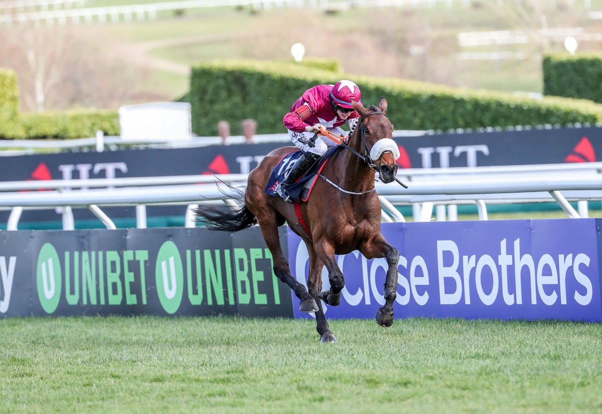 IREthoroughbred's tweet photo. Lot 149 sells @tatts_ireland Derby Sale, June 27th &amp; 28th; a @coolmorestud Pour Moi (IRE) half-brother to 3 black-type winners inc. Grade 1 scorers Shattered Love (IRE) (left) &amp; Irish Cavalier (IRE) (right) #IrishStoreSales https://t.co/G3GWG9clHw