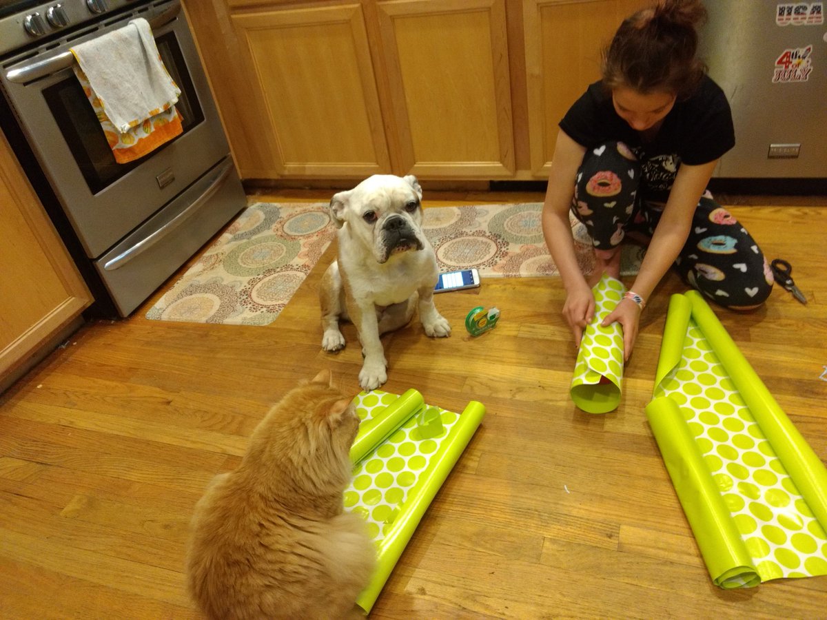 NemoWrinklesV's tweet photo. I supervised the wrapping of Dad's presents. Ollie helped skin sister. #Nemowrinkles #Nemostrong #Bulldogs #dogsoftwitter #dogsofinstagram #doglovers #dogs #LymeDisease #Lyme #lymenephritis #KidneyDisease #Gofundme https://t.co/1p05KRjbLu