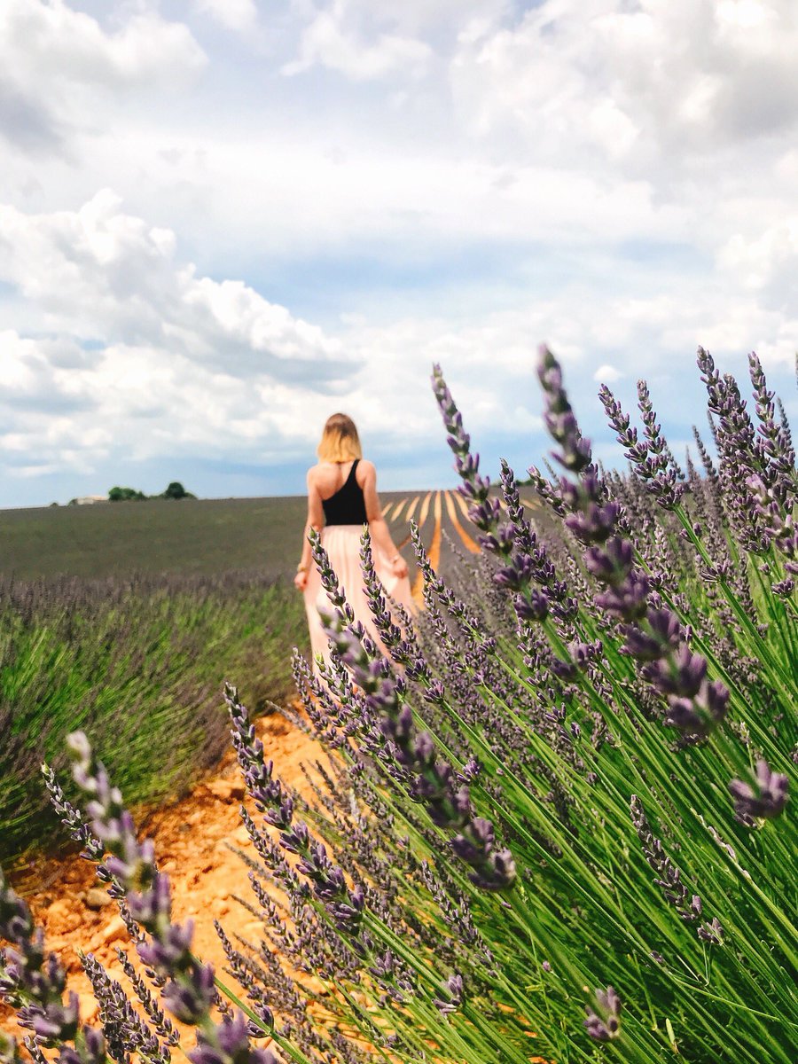 Exploration de champs de lavande en Provence #exploremore #travel #provence #tourisme #blogvoyage #southoffrance #iloveprovence
