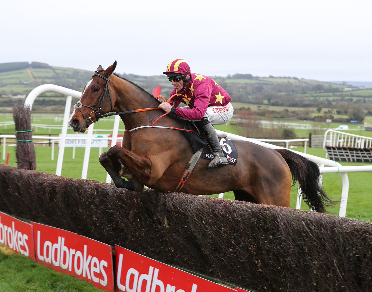 IREthoroughbred's tweet photo. Lot 133 sells @tatts_ireland Derby Sale; a Yeats (IRE) half-brother to 3 winners inc. Gr1 winner Monalee (IRE) (pictured), out of a half-sister to Thyestes H. Chase victor Be My Belle (IRE) #IrishStoreSales https://t.co/RcEdQW0HGO