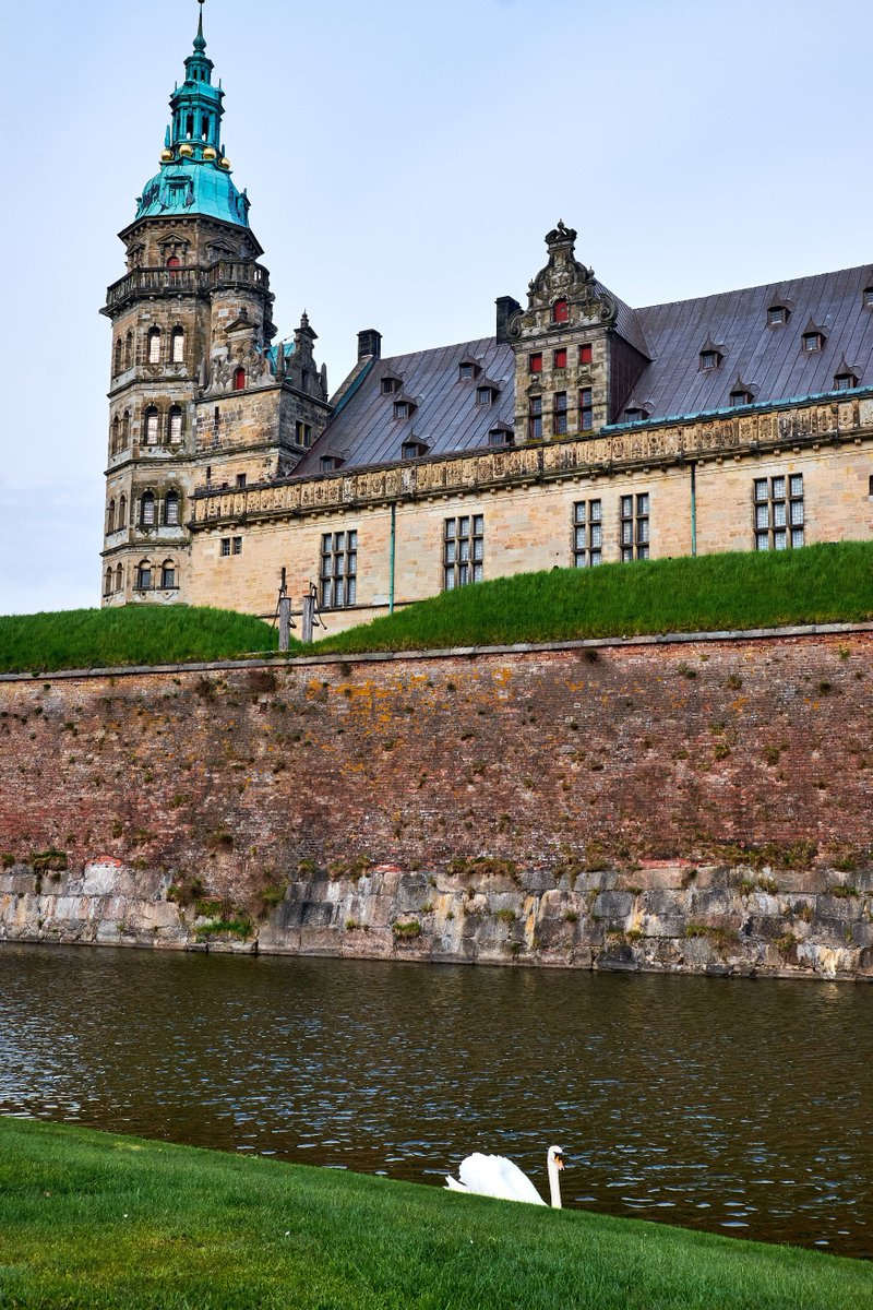 Viajes en hola.com tweet media