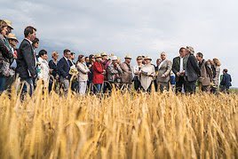 pannatura's tweet photo. Mehr als 8000 Besucher/innen. Erfolgreiche Biofeldtage 2018 via @APAOTS @pannatura  @fiblorg @BioAustria @ja_natuerlich https://t.co/JQFVaoOWoL https://t.co/fPTflWEBDY