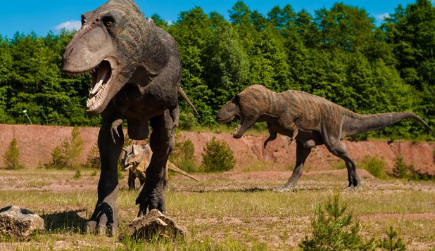 AltfelMD's tweet photo. Am putea readuce la viaţa una dintre speciile de dinozaur? - https://t.co/rUfKYcU279 https://t.co/38vOdyeii7