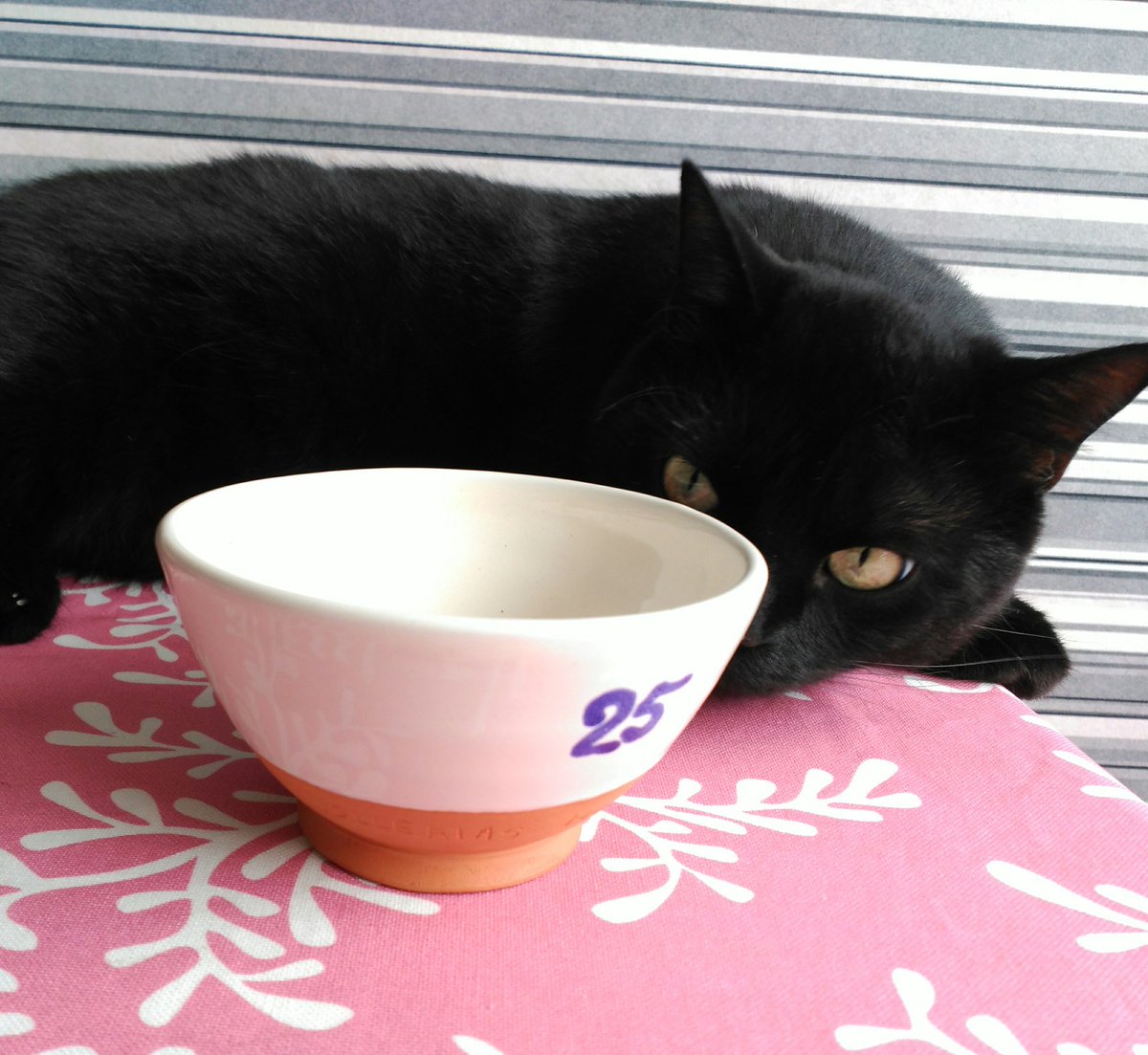 #ollerias25 erronkan, <a href="/OlleriasM/">Ollerias Museo</a> en egindako 1715 katiluetako bat etxean! Eskerrik asko ama! 
x.com/OlleriasM/stat…