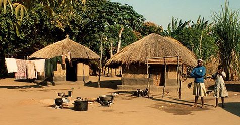 thefae_africa's tweet photo. Invest in a cause today and watch it grow.Learn more here,https://t.co/JQFzEYvaZa
#SDGs #makeadifference #donatons #GivingMonday #sustainabledevelopment #transfomlives #philanthropy #foundations #changinglives #grants #InternationalDevelopment #MondayMotivation https://t.co/r8w136k9Z1