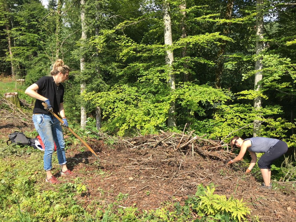 Im Rahmen der Initiative "AXA von Herz zu Herz" engagieren Mitarbeitende der AXA sich in dieser Woche freiwillig und tun damit Gutes. Heute helfen insgesamt zwölf Mitarbeitende auf dem Bio-Bauernhof der Familie Abderhalden in Gibswil dabei aus, Äste vom Waldrand wegzuräumen.
