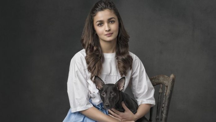 DivyaP2991's tweet photo. Top 11 Most Beautiful Girls In The World
#Beautiful #beautiful_women #Lifestyle #Trending #ViralNews #indiarox
#Rani_Rampal
https://t.co/NPEKgjlhXu https://t.co/arXdt93QUG