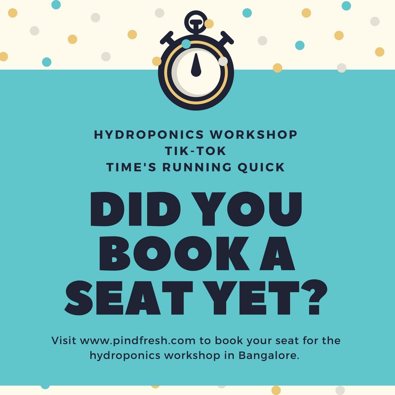 pindfresh's tweet photo. book your seats for the hydroponics workshop in Bangalore. Just a weekend away :) We are so excited are you??? visit https://t.co/IEtdmpEhMW https://t.co/GCksViTRwU