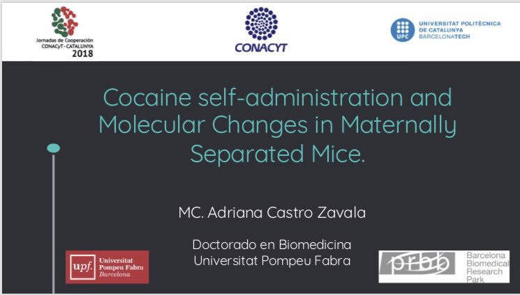 adriana_caz's tweet photo. Charla lista para presentarse mañana en las #JCCC2018! #UPFproud #GReNeC @Grenec_NeuroBio @jocytcat @Conacyt_MX #UPFproud https://t.co/25fp8GOAb7
