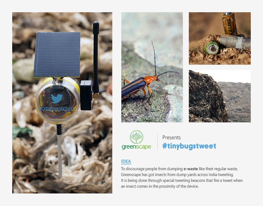 Tiny Bugs Tweet (@tinybugstweet) on Twitter photo We are tiny bugs from dump yards. We love your waste but not your e-waste. Donāt dump it like regular waste. It is not good for the planet. Or for you. Got e-waste? Just call <a href="/ManagementEco/">Greenscape Eco Management</a> & dispose e-waste responsibly. Know more - bit.ly/2MBBL8W We are tiny bugs from dump yards. We love your waste but not your e-waste. Donāt dump it like regular waste. It is not good for the planet. Or for you. Got e-waste? Just call <a href="/ManagementEco/">Greenscape Eco Management</a> & dispose e-waste responsibly. Know more - bit.ly/2MBBL8W