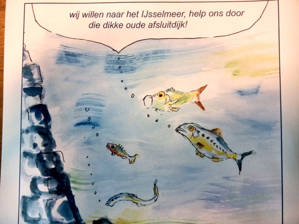 Wietske ter Veld, oud-secretaris van de ledenraad van de Waddenvereniging, maakte deze tekening van de Vismigratierivier. Vandaag ging de GroenLunch van de FMF over dit wonderschone project dat volgend jaar start.