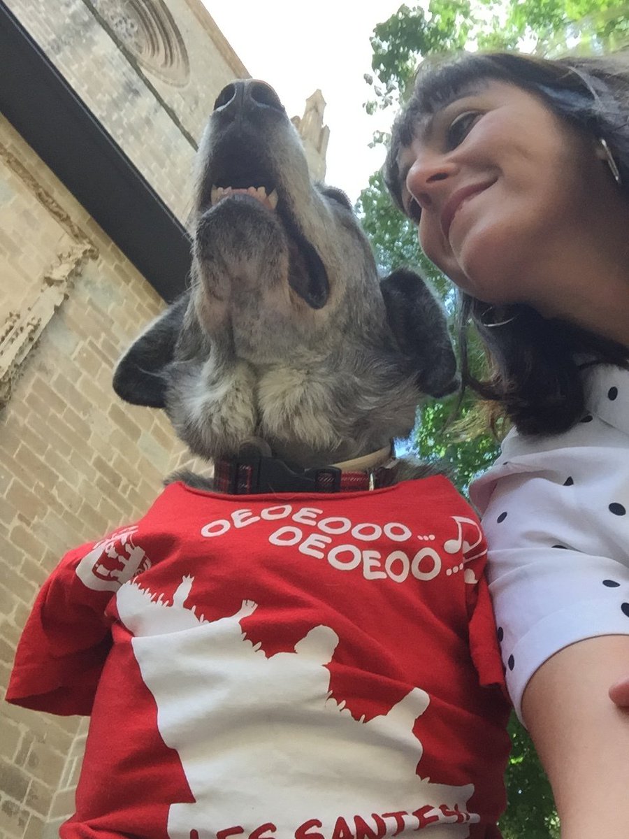 ydescubro's tweet photo. Lola quiere lanzar el chupinazo https://t.co/lInCerBpup https://t.co/pnAhdpK2ns