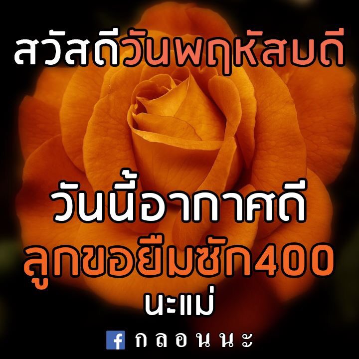eiffherz's tweet photo. เป็นสติ๊กเกอร์ที่เหมาะกับการใช้คุยกับแม่และพ่อมาก 6555555555555 https://t.co/YaGxfWwiLM