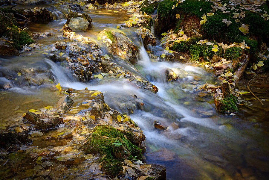 ThColoradoImage's tweet image. When faced with a daunting problem, sit be a mountain stream and listen to your heart.