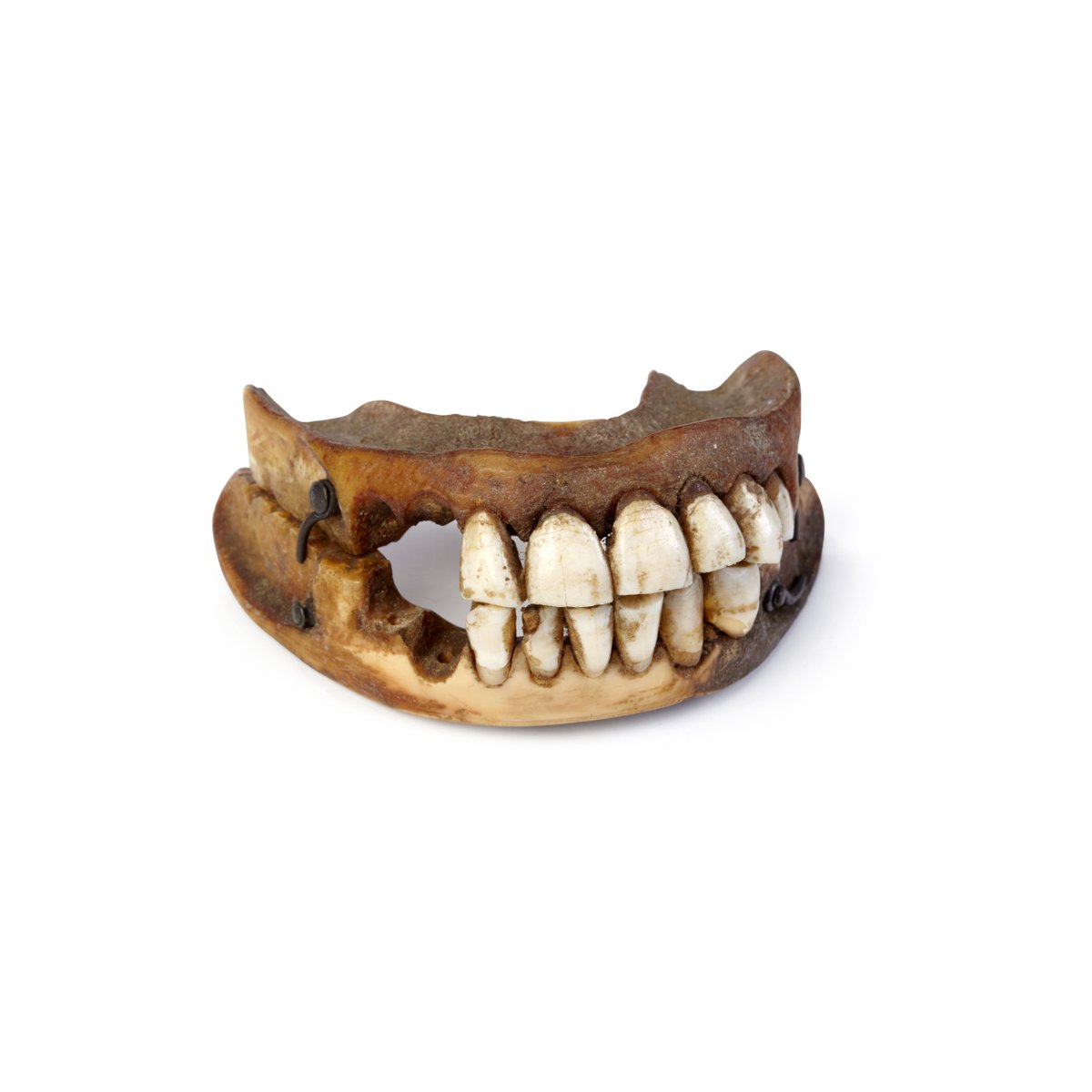 Did you know, the Battle of Waterloo took place #OnThisDay in 1815? Find free lesson resources to inspire your students here including the gory story behind the 'Waterloo Teeth'  #AgeofRevolution 
ageofrevolution.org/200-object/wat…