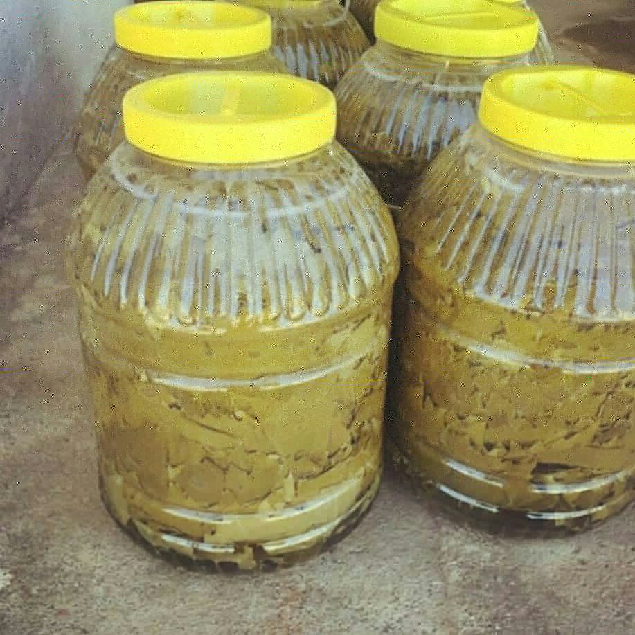 Salamurlarimiz satista💕
Bilgi iletisim icin DM📝