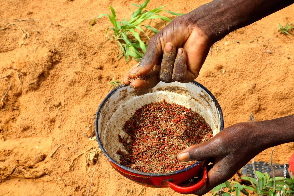 IFDC Training (ARCHIVED) tweet media