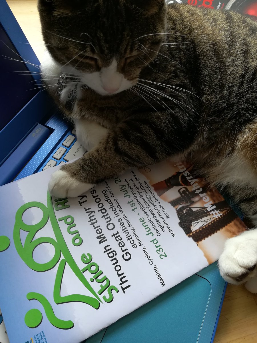 AilinKee's tweet photo. I think Paris decided she wants to know about @Merthyrstride. #getoutdoors #nature #walk #run #cycle #play #explore #Wellbeing #merthyrstride #lovemerthyr #lovewales #FindYourEpic https://t.co/cDSri1jNiB