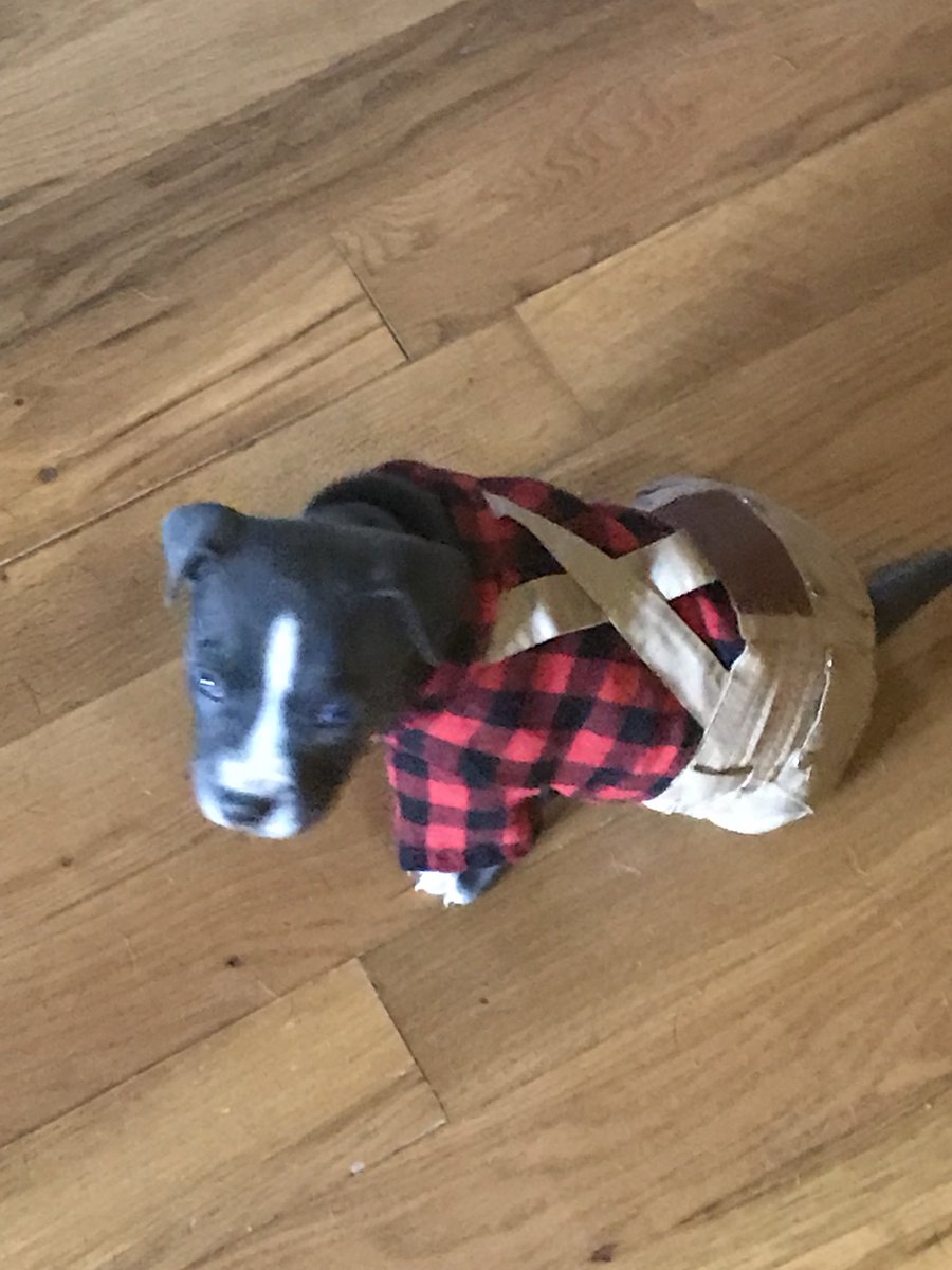 UltraSkiffAnglr's tweet photo. I also got a puppy and put down a dog I’ve had for 15yrs https://t.co/4tkQbCd60u