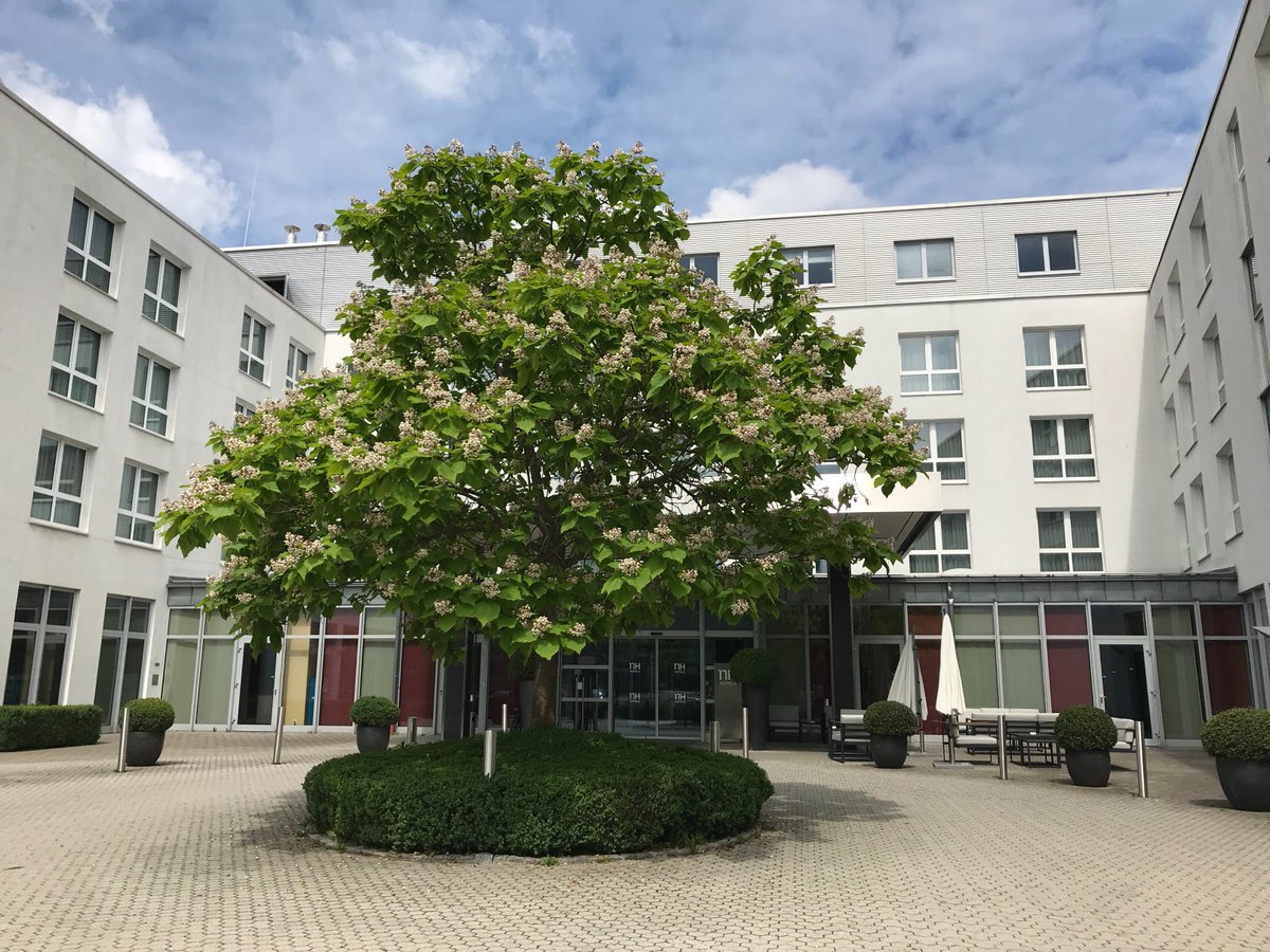 TestingEmbedded's tweet photo. Das Auto ist gepackt und die Kollegen treffen bald ein. Da kann man noch kurz die Ruhe vor dem Sturm genießen. #testing #embedded #cleancode #security #design #MBT #software #hardware #blackbox #conferencemood @verifysoft @seppmedgmbh @razorcatGmbH @QA_Systems @cqse @Parasoft https://t.co/WL1uT1flpJ