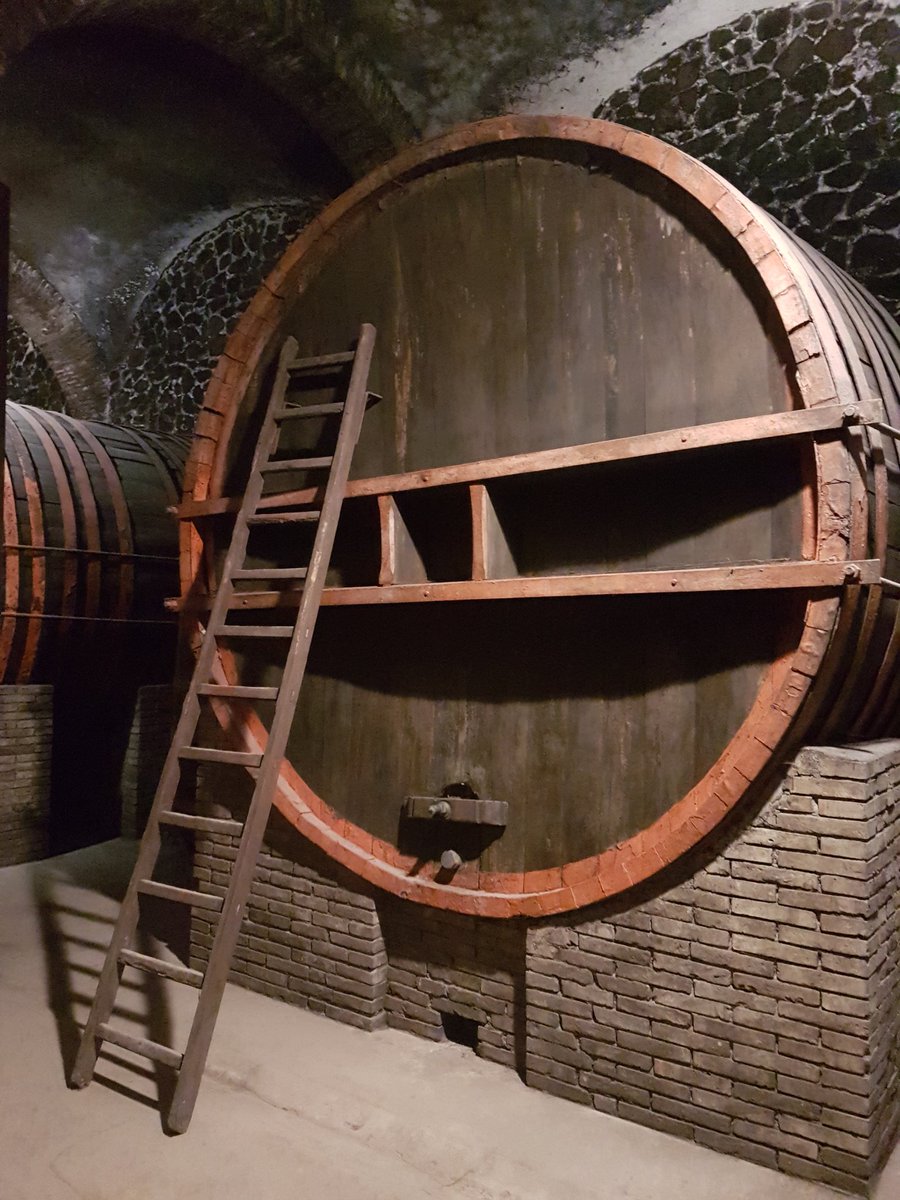 Alla scoperta di #Muvis, il Museo del Vino e delle Scienze agroalimentari a #CastiglioneinTeverina. Il museo più grande d'Europa dedicato al vino con una caratteristica unica... la Cattedrale con botti dalla capacità di 27.000 litri! muvis.it #Viterbo