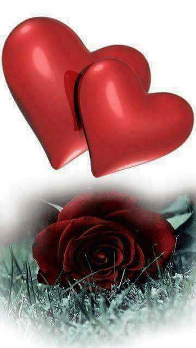 KVI3NbVdv4EjA1L's tweet photo. احيَانْاً يَكونْ بِداخَلنَا كلَامٌ لاَ يْحَتاجُ إلىٌ أذنً تَسْمَعّه بَل يَحتْاجُ إلىٌ  قَلبً ) يَشْعُر بِه https://t.co/WfIHs2VhwK