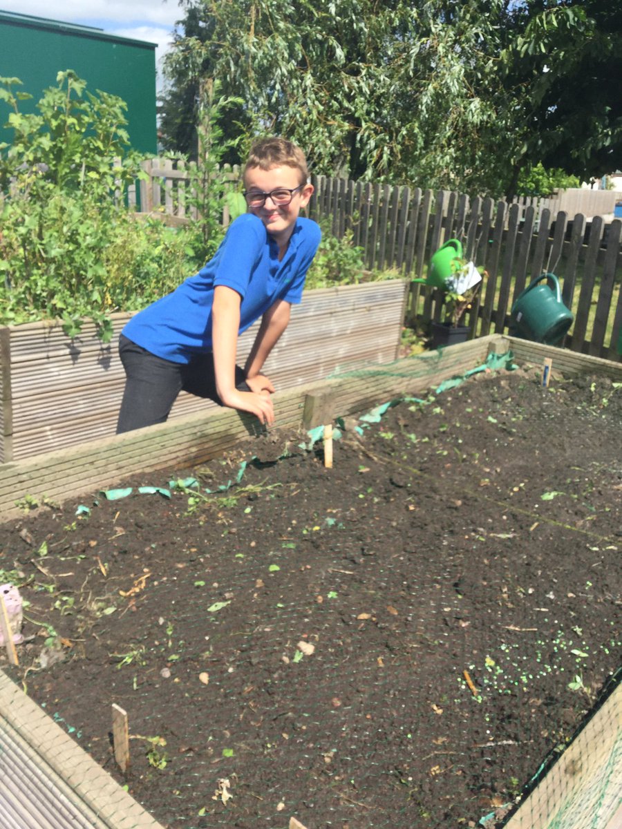 Y5OliveClass's tweet photo. We have been busy sorting the allotment this afternoon https://t.co/8LxZ6ZXIAx