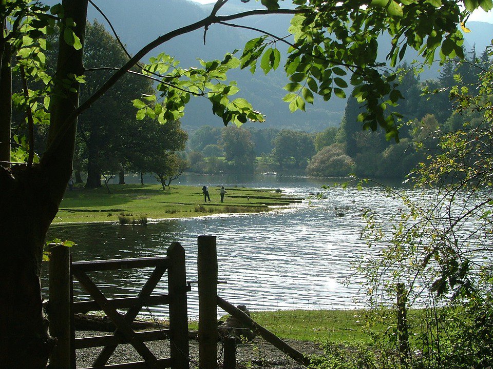 WeAcceptPets's tweet photo. Barn Croft offers holiday accommodation close to the market town of Keswick in Cumbria.
https://t.co/p49M6ZRPuv
#DogFriendly #Holiday #Travel #SelfCatering #Applethwaite #Keswick #Cumbria #England #Accommodation #Britain #ExploreTheLakes https://t.co/iQdAca8Kcq