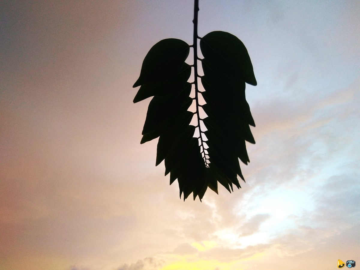 Mr. Bell :) tweet media