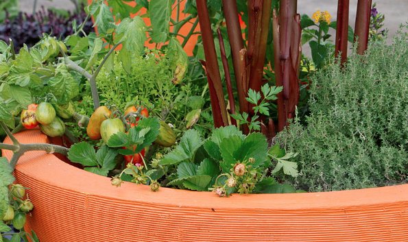 JourdelaTerreCa's tweet photo. « Votre estomac gargouille et votre balcon s’ennuie. Pourquoi ne pas l’égayer d’une palette gourmande ? » #agricultureurbaine #balconvert #ruelleverte

https://t.co/RpH96Me5FZ https://t.co/k8bfBLCqpF