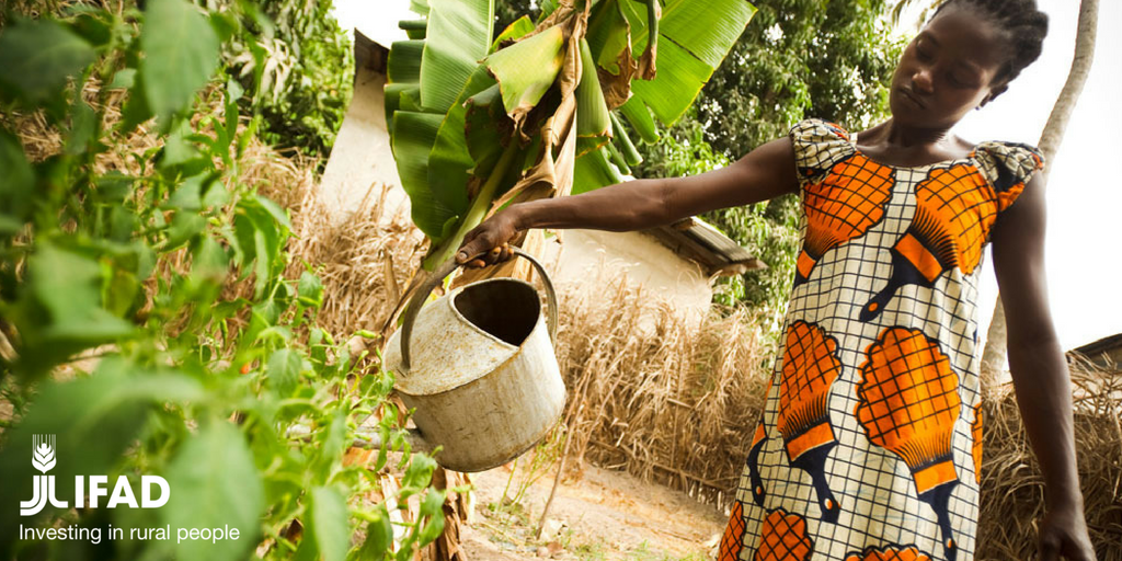 IFAD's tweet photo. Agriculture and rural development can be a positive factor in addressing #climatechange, says #IFAD Vice-President @CRichterIFAD opening the panel discussion on #Agenda2030 - climate change challenges.
Follow live >> https://t.co/At0I9fxNDB #IFADClimate #InvestInClimate https://t.co/Yc9QYS0pmn