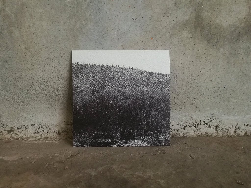 Lärm, mi nueva criatura, ya está disponible en vinilazo así como en las plataformas digitales habituales. Editado por <a href="/LapsusBarcelona/">Lapsus</a>. Contiene trazas de <a href="/coranovoa/">Cora Novoa</a> y de @oriol_rosell lapsus.bandcamp.com/album/l-rm-2