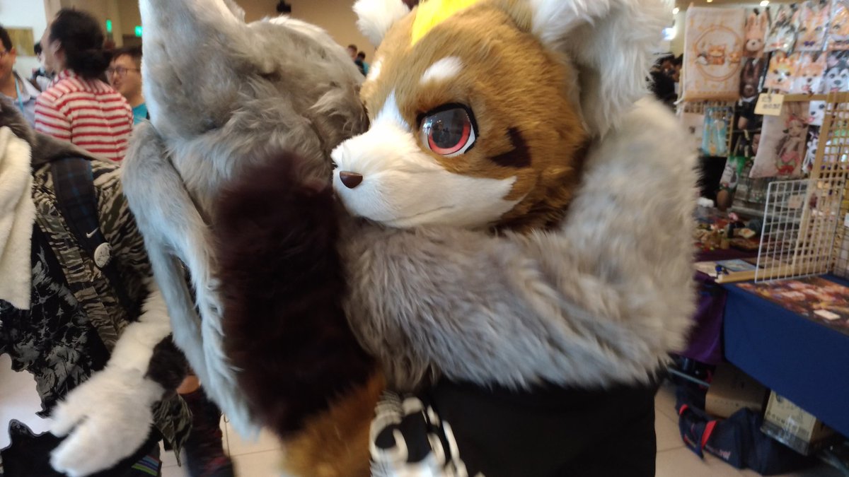 @hinekota
#Furrymosa2