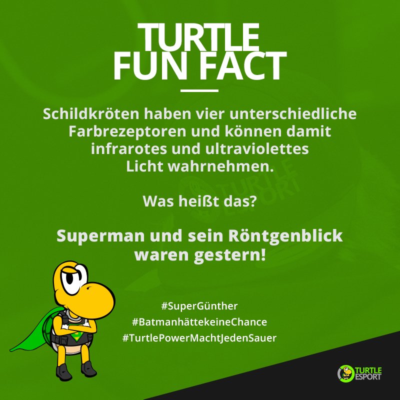 Schon gewusst? #TurtleFunFact 

#SupermanKannNichts #GüntherGegenAlle #TurtlepowerMachtJedenSauer