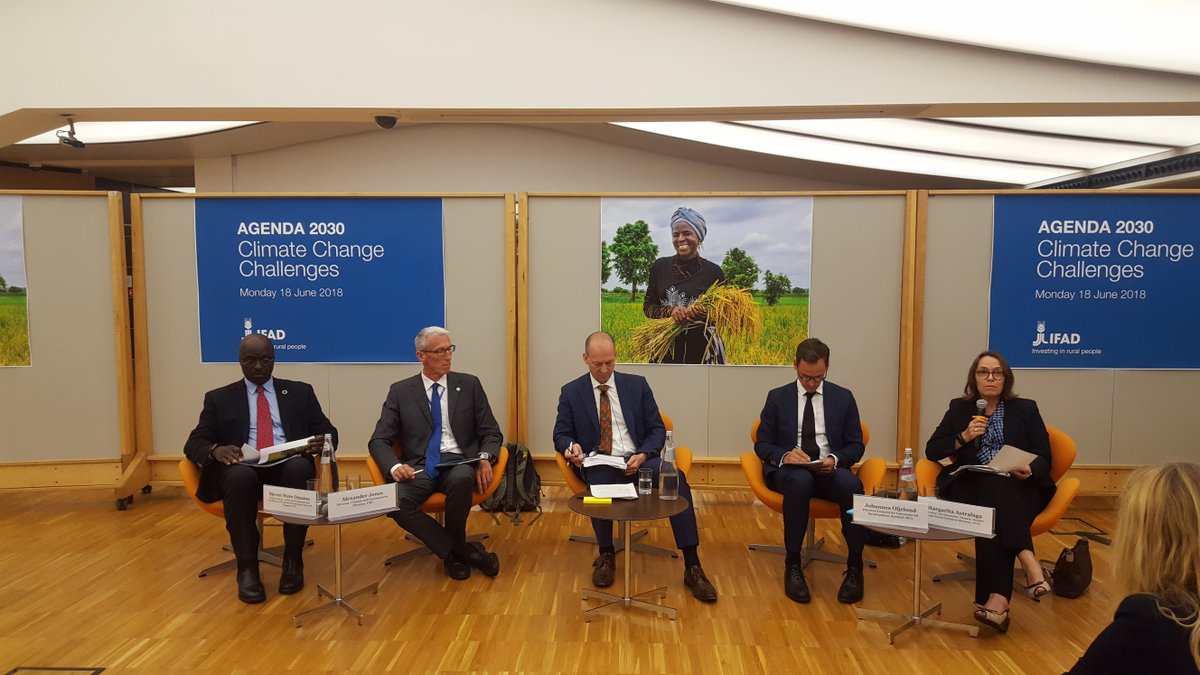 IFAD's tweet photo. Margarita Astralaga, director of environment, climate, gender & social inclusion at #IFAD outlines the key ingredients to climate adaptation:
- inclusiveness of all vulnerable groups
- equity
- innovation
Follow live https://t.co/eFiTvo90yy @FAO @WFP @joljelund #IFADclimate https://t.co/zwNNMzBUN5
