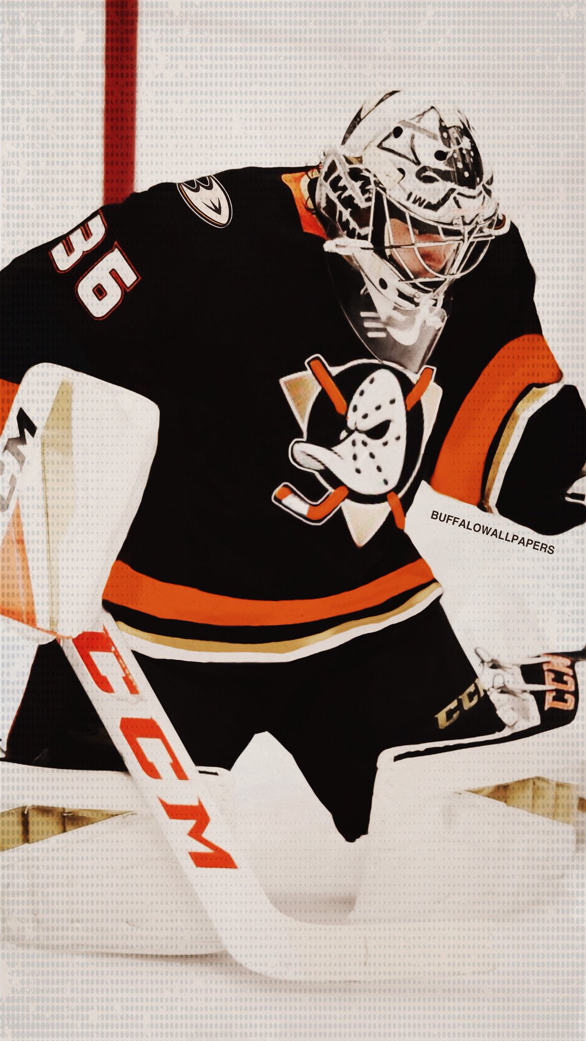 anaheim ducks — Concepts —