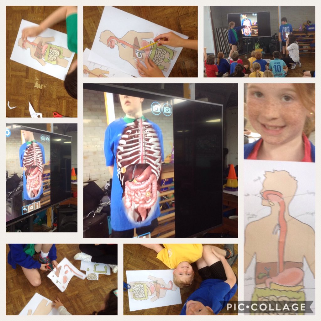 yfpsyr4's tweet photo. We were scientists today - we explored the digestive system. #yfpslearning https://t.co/AY9TPunEmF