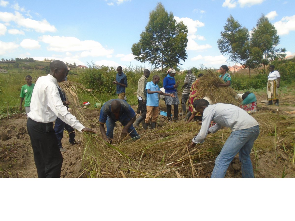 Rwanda_SMAP's tweet photo. It was also good time for transplanting Egg plants, Sweet peppers and onions. https://t.co/mDLxZpJK8S